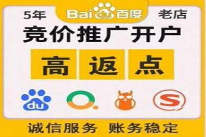 百度移动端应用推广策略探讨